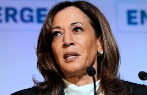 Harris reflete o remorso que 2024 Biden em termos de conversa MSNBC