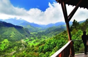 Se você deseja ter a melhor visão da Colômbia, essa é a perspectiva que você precisa visitar: eles estão em café