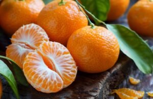 Quando começa a temporada do Menxico?