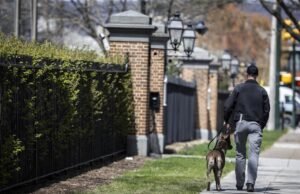 Não posso criar um novo título sem um conteúdo especial para tê -lo. Dê detalhes ou situações para o título.