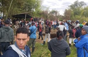 Estes são os funcionários do funcionário do ouro ilegal em Santander de Quilichao, caca