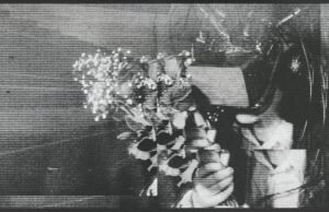 Lutie the “Aurora” lançou uma nova onda na raiva de sua tecnologia