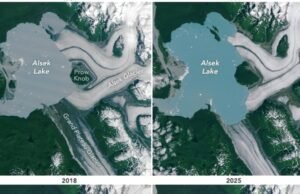 O revés dos contratempos de medicamentos brilhantes