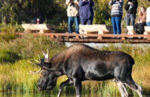 Parque Nacional enfrentando um desafio sensível ao orçamento da era Trump