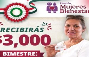 A aposentadoria feminina: quem tira 3000 fotos de quinta -feira, 25 de setembro?