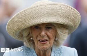 A rainha Camilla proclama as tentativas no novo livro