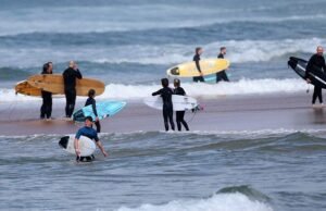 Surfista se transformou em morto em tubarão em Sydney Beach com um ataque raro