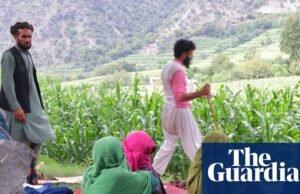 A urgência da crise da crise aguarda o terremoto do Afeganistão