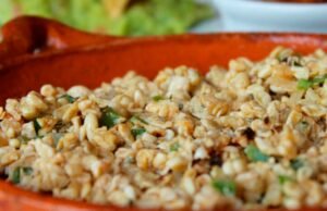 Quais são as propriedades dos escamosos, o centro mexicano