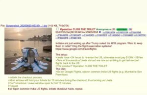 As Nações Unidas destro criam uma campanha digital para interromper o voo de visto HTB da Índia