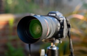 Canon RF 100mm f/2.8L Macro é uma revisão da lente USM