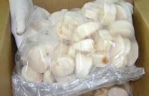 Novo novo desligamento será atualizado para o Axe Callus em Sonrano