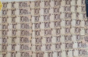 Vestido: Dois homens foram presos como empresários de empresários na floresta em Lamas, CDMX