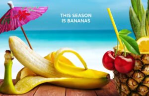 Bacharelado em Paradise de retorno do hiato da temporada de dez anos de idade com um novo Twistus