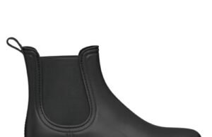 Alvi acabou de redigir os fãs favoritos dos fãs de US $ 10, as águas da chuva parecem semelhantes aos custos de 15x