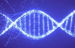 Gene que os ancestrais humanos perderam milhões de anos atrás podem ajudar a tratar a gota