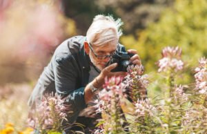 Guia para iniciantes para a Macro Photography – Captura de flores, insetos e muito mais