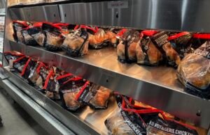 Canção cativante ‘Kirkland Cult’