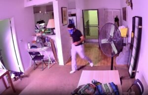 Os homens estão separados das casas de Hollywood, que atingem o cachorro para morrer