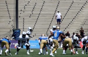 Acha que a presença de rosas é ruim? Pode ser pior do que você pensou