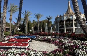 Caro California Park é excluído e ofensivo seu tempo. É por isso