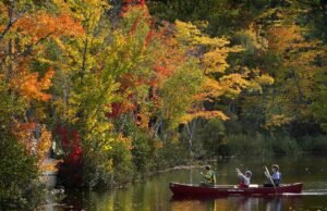 Dia e noite recebem um projeto de lei semelhante ao equivalente a Equinox. Isso é a coisa a saber