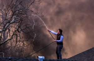 Por que o investimento de Altadenena não foi culpado