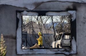 Como faço para obter a perda de destruição meus impostos?