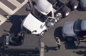 Grande equipamento que adorava o estado da terra e a laranja parou