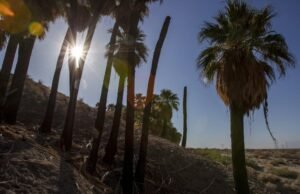 Caminhando dinheiro, renda é rapidamente renda em parte no Coachella Valley