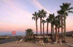 O que fazer no Palm 29, uma cidade em uma cidade de 20 minutos de Joshua Tree