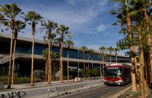 77 palmeiras plantadas em Wilshire Boulevard perto de Lacma