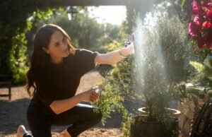 Meghan Markle deveria voltar para fazer algo em vez de ‘apaixonado’