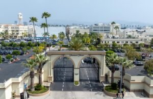 David Ellison, de David Elamunt, disse que os funcionários retornam ao escritório