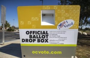 SoCal Women escreveu seu cachorro para votar, publicou uma votação, dau