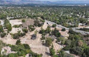 As florestas de Hills Hills se voltam para o túmulo. Algumas pessoas locais estão lutando