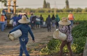 1,2 milhão de imigrantes não são do poder dos trabalhadores americanos