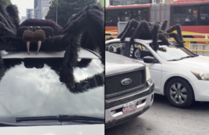 É assim que se vive o Halloween no CDMX: um carro com uma árvore gigante impressiona e se espalha