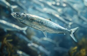 O peixe poblano que se opõe à ciência: aquário petáceo do período cretáceo encontrado no México