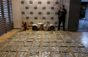 Eles prenderam 42 libras na caixa de mensagens de Cali: obrigado pelo movimento policial canino