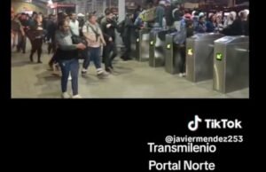 Os discos do Fount Fount Transmilenio estão vestidos e os descrevem com áudio pessoal: “Somos ratos”