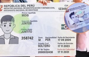 DNI Electronic: para que você possa atualizar, mudar sua casa e pedir que a duplicata não trabalhe na placa Remoec