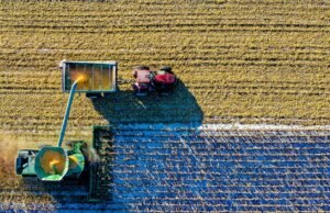 Antonio, Tractista: “O campo não tem porta ou programação. Vim trabalhar 16 ou 17 horas por mês”