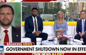 O vice -presidente JD Vance culpa o senador Chuck Schumer e os democratas pelo desligamento do governo