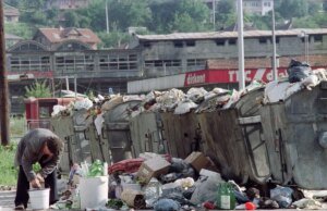 Dia Mundial de 2025: Resolver a Fome e o Desperdício Alimentar nos Desafios Mundiais