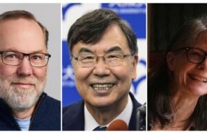 O Prêmio Nobel do Tratamento está executando 3 cientistas para o sistema imunológico