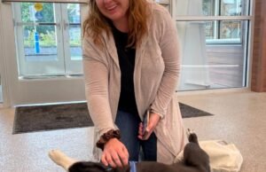 O cachorro desapareceu em sua casa na Califórnia. Ele viu 2.000 milhas