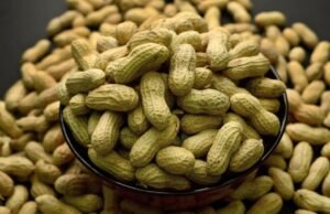 Amendoins em crianças descartam conselhos sobre alimentação com alérgenos em bebês, estudo