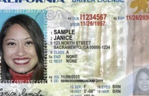 Este é o design da última carteira de motorista da Califórnia