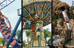 Sempre que cavalgava em bagas de criação de bagas, classificar